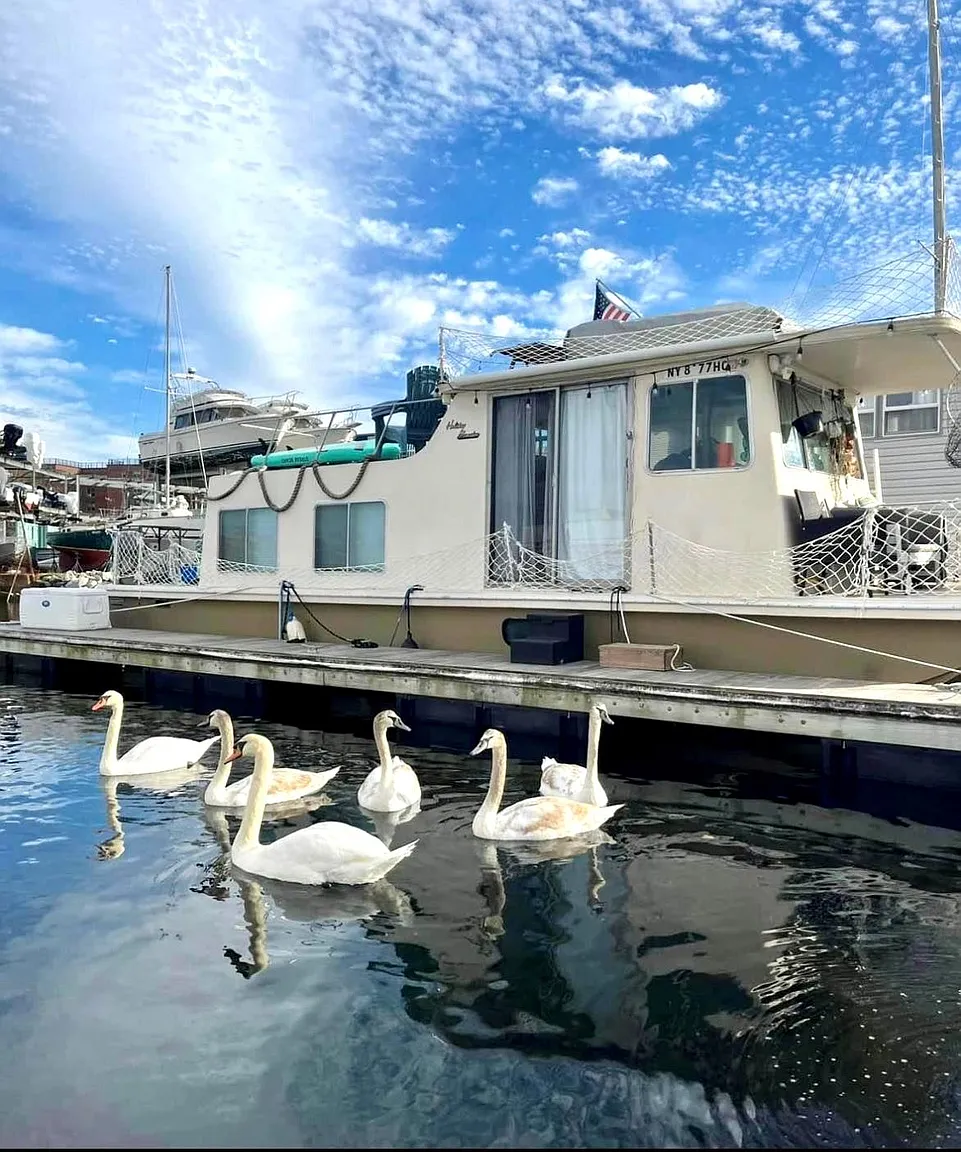Trade the City for the Sea – A Rare Houseboat Retreat at Marina 59