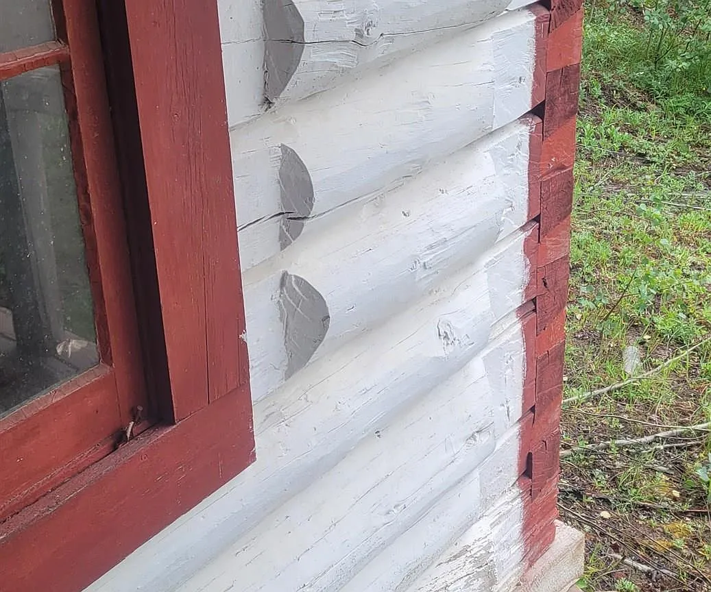 Close view of the cabin dovetail log construction