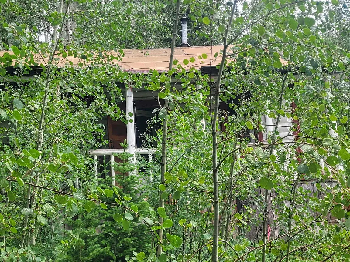 Front porch of the historic cabin among dense aspens
