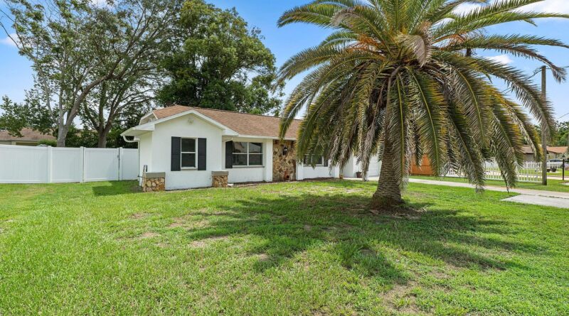 Single-story Spring Hill home with a large palm tree in the front yard